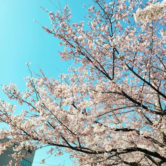 Private Hanok Space Moda Casa vacanze