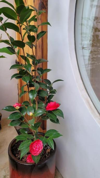 Casa vacanze Private Hanok Space Moda Seul